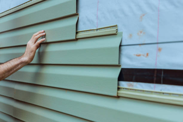 Best Siding Painting and Refinishing  in Sunset Hills, MO